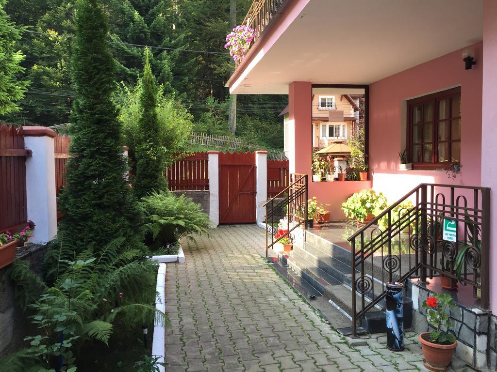 Casa Minerva Hotel Buşteni Exterior foto